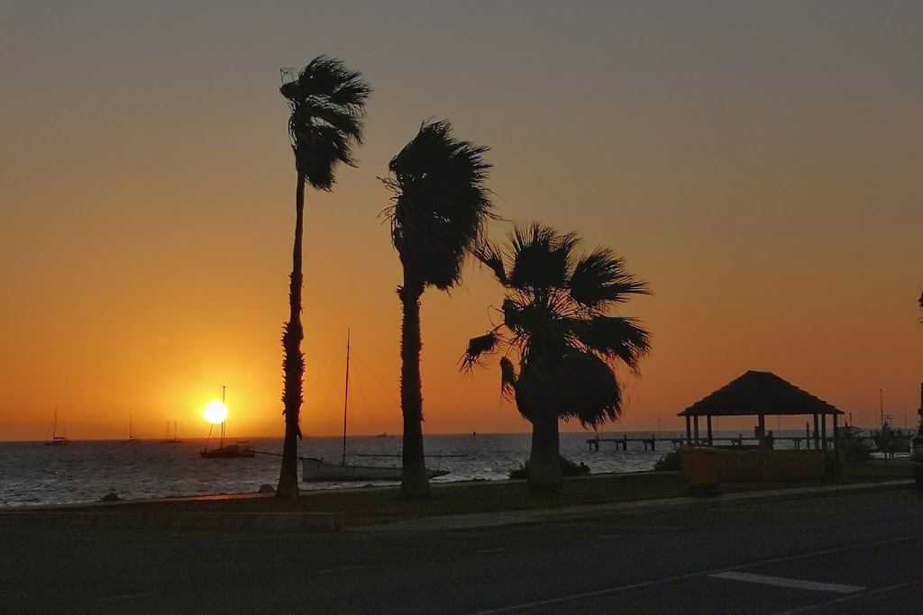Shark Bay Marine Park | 89 Knight Terrace, Denham WA 6537, Australia | Phone: (08) 9948 2226