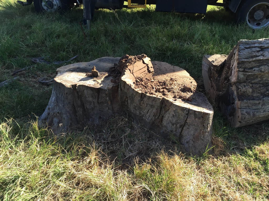 Stump Removal Sydney - Stump Grinding | 13 Antares Pl, Cranebrook NSW 2749, Australia | Phone: 0402 887 920