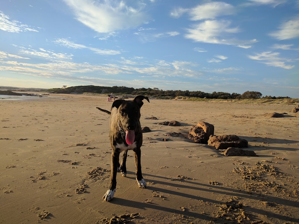 Birubi Beach Dog Exercise Area | park | 33 Fitzroy St, Anna Bay NSW 2316, Australia