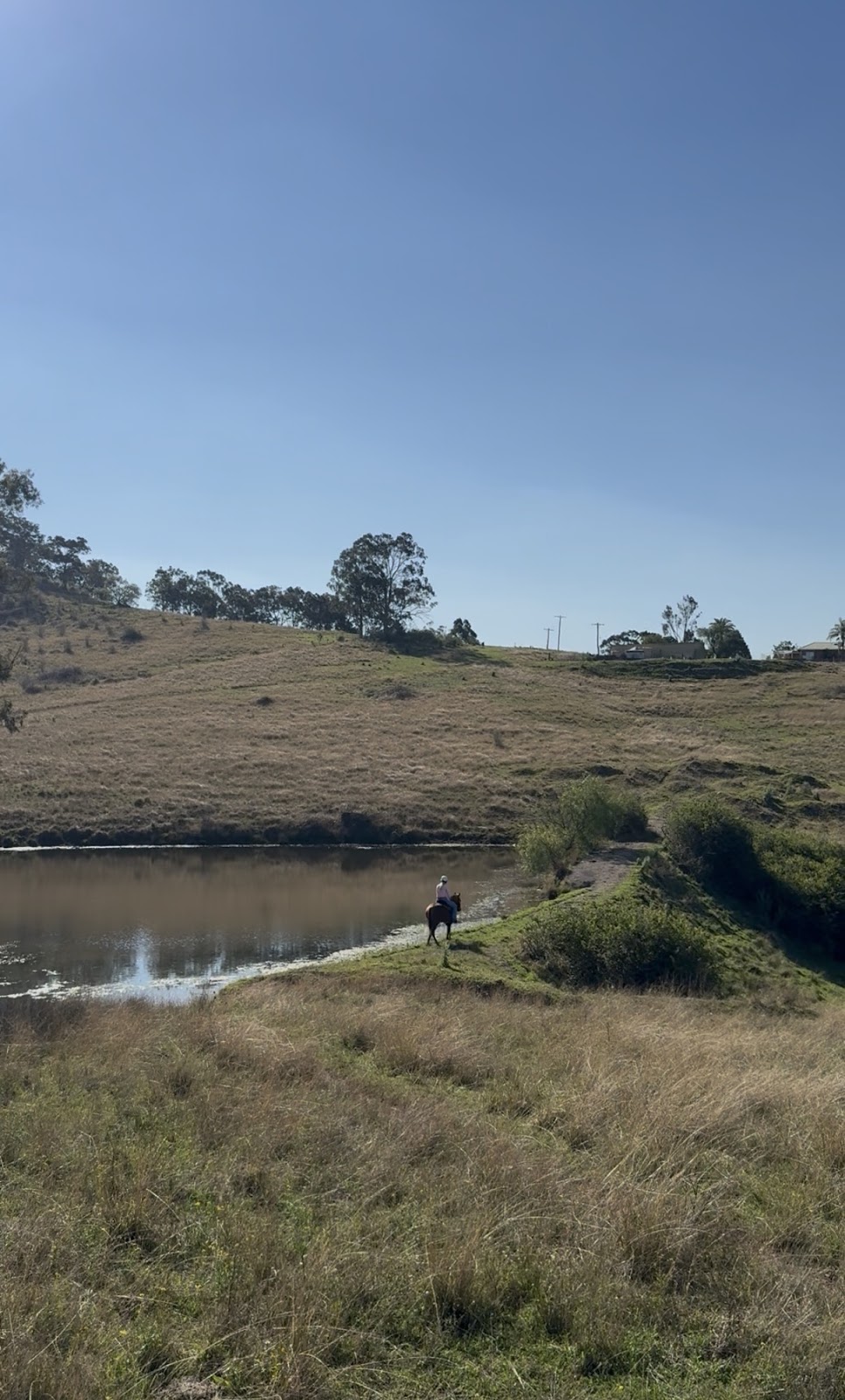Herway horsemanship | 375 Burragorang Rd, Glenmore NSW 2570, Australia | Phone: 0478 191 104