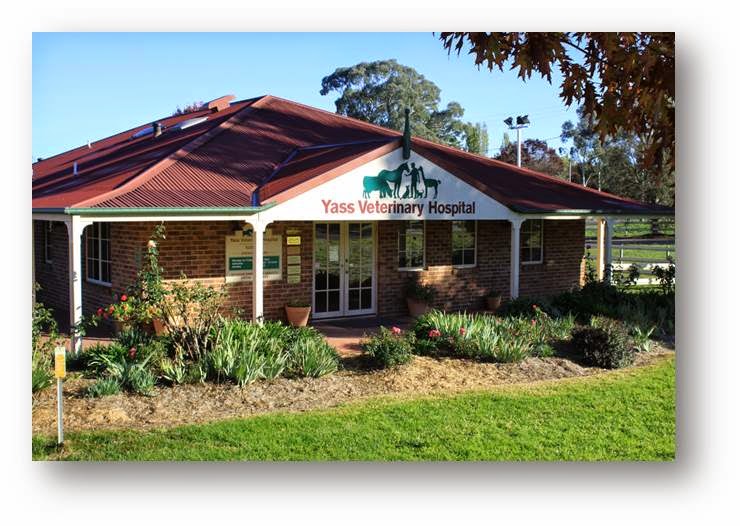 Yass Veterinary Hospital | 72-76 Laidlaw St, Yass NSW 2582, Australia | Phone: (02) 6226 4444