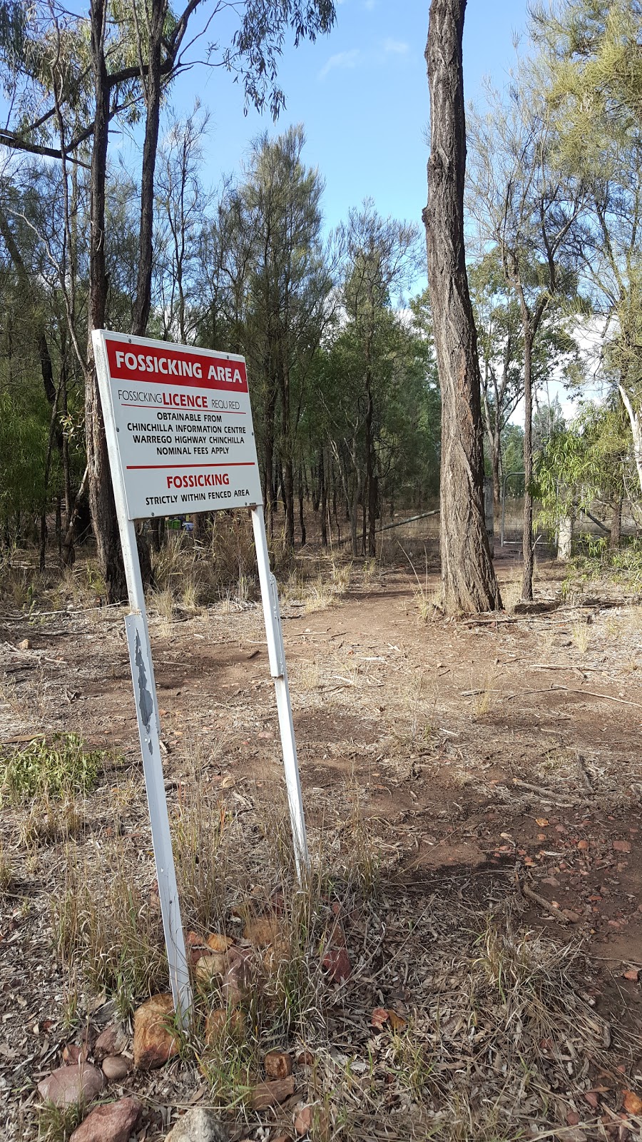 Lallalindi Fossicking Site (Bells) | Loloma, 858 Sturgess Baking Board Rd, Greenswamp QLD 4413, Australia