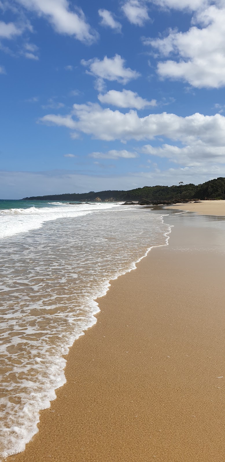 Cape Howe Marine National Park | park | Mallacoota VIC 3892, Australia | 0384272002 OR +61 3 8427 2002