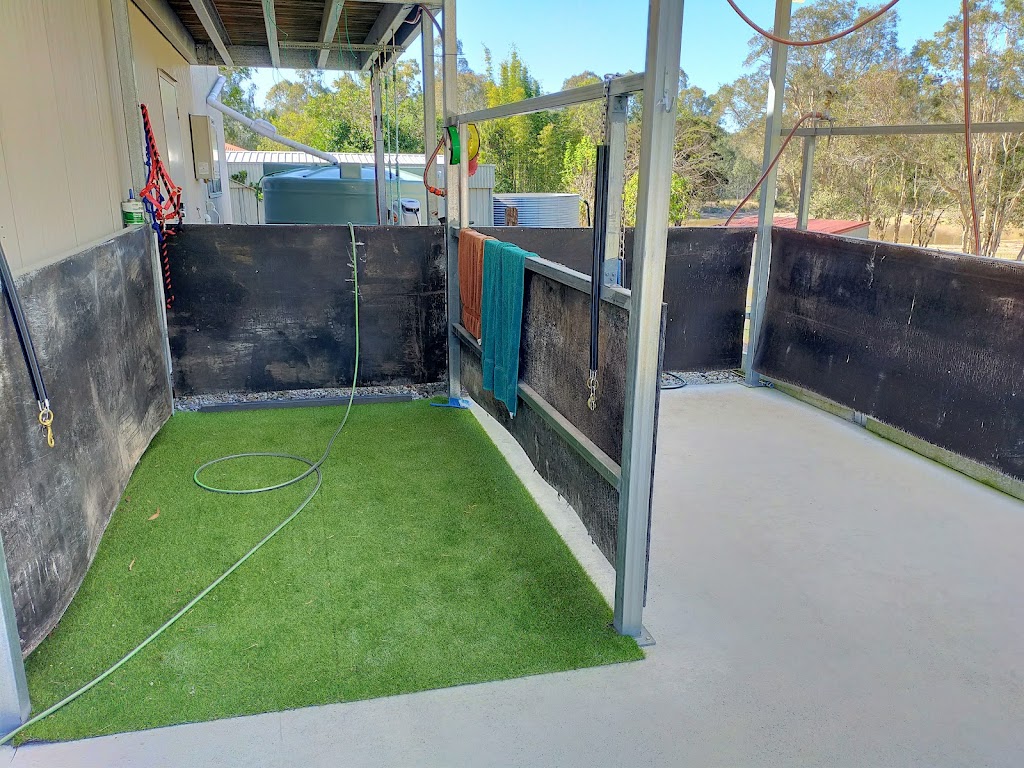 Zamunda Park Equine Services | 967 Stockleigh Rd, Stockleigh QLD 4280, Australia | Phone: 0427 166 164 Zamunda Park Equine Services | 967 Stockleigh Rd, Stockleigh QLD 4280, Australia | Phone: 0427 166 164