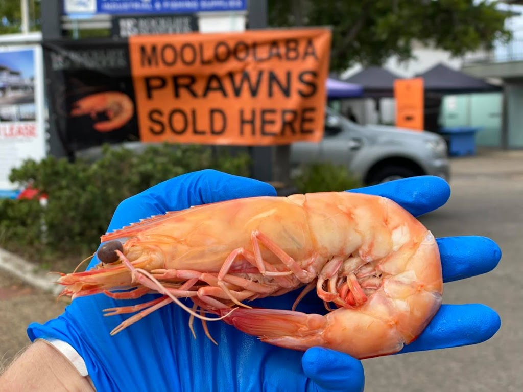 Rockliff Seafoods | food | 10 Parkyn Parade, Mooloolaba QLD 4557, Australia | 0460795083 OR +61 460 795 083