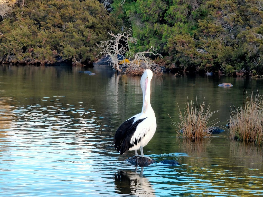 Town Park | Hardy Inlet, Western Australia, Augusta WA 6290, Australia