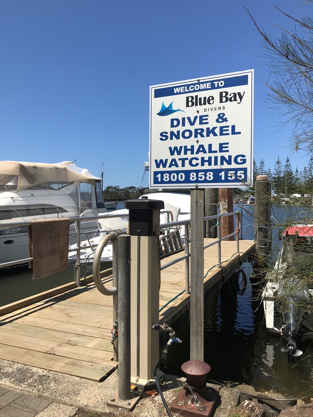 Blue Bay Divers | travel agency | Brunswick Heads Boat Harbour, Old Pacific Highway, Brunswick Heads NSW 2483, Australia | 1800858155 OR +61 1800 858 155