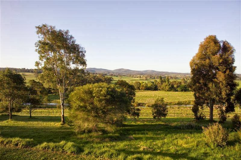 Glenmaggie Wines | tourist attraction | 439 Mclachlans Rd, Tinamba West VIC 3859, Australia | 0351451131 OR +61 3 5145 1131