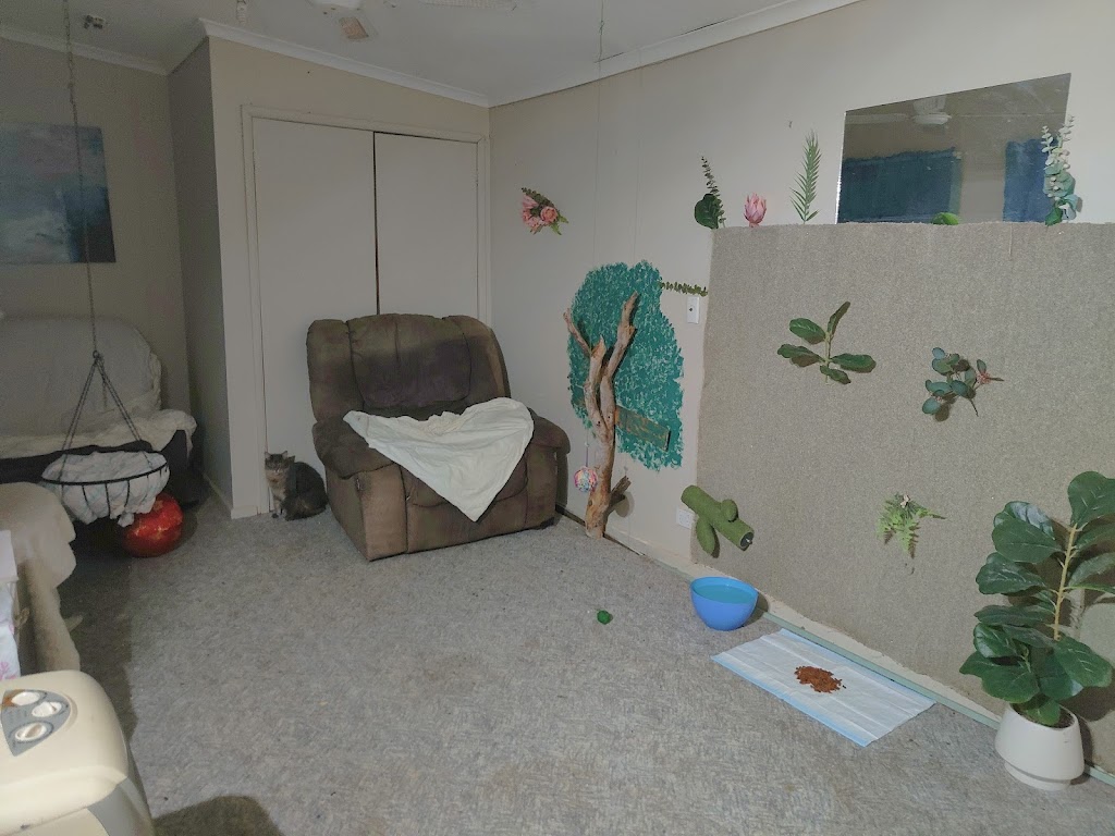 Pets at your Place | 880 Labuan Rd, Katandra West VIC 3634, Australia | Phone: 0437 965 592