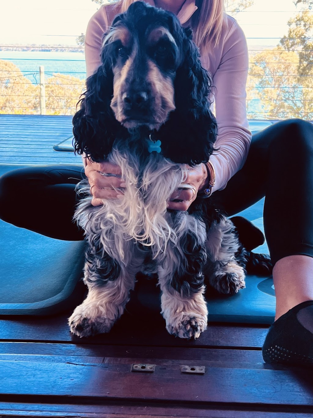 Pilates by the Lake | The Lakehouse, 34 Goonda Promenade, Wangi Wangi NSW 2267, Australia | Phone: 0412 138 008