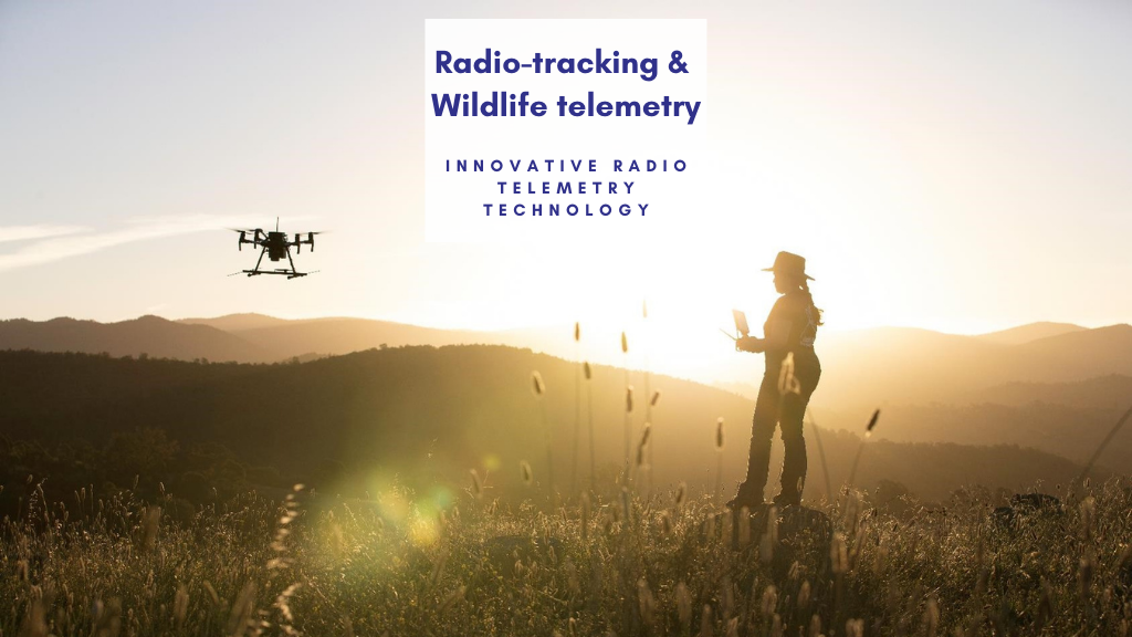 Wildlife Drones - Animal Tracking | Gould Building, Daley Rd, Acton ACT 2601, Australia | Phone: 1300 828 679