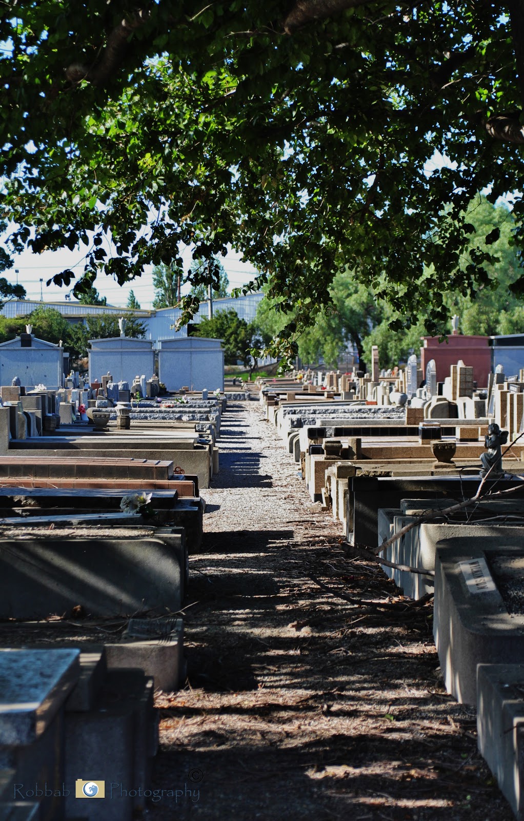 Footscray Cemetery | cemetery | 501-511 Geelong Rd, Yarraville VIC 3013, Australia | 0396880299 OR +61 3 9688 0299