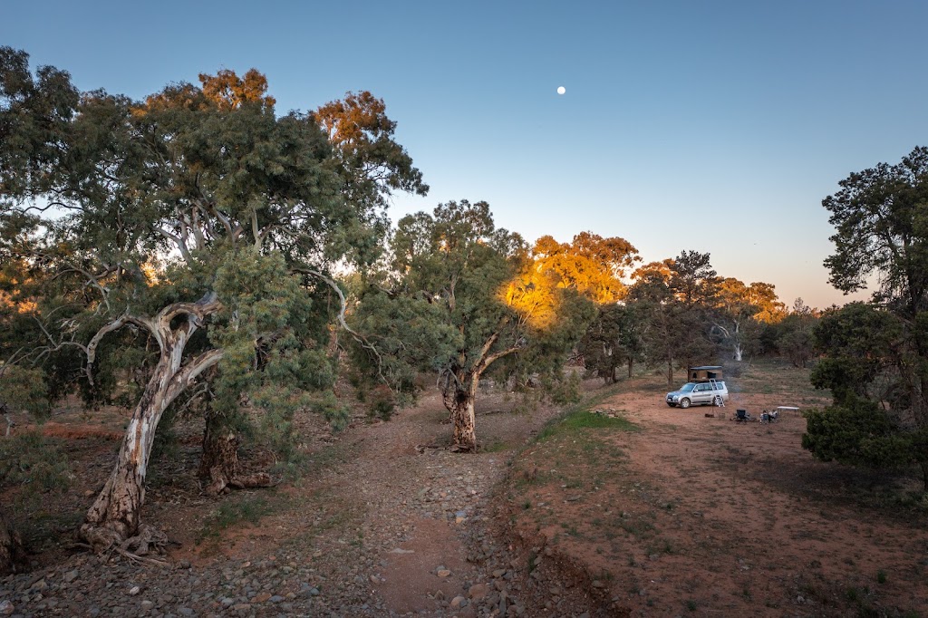 Arcoota Creek | Holowiliena Station, Arcoota Creek Campsites, Holowiliena SA 5432, Australia | Phone: (08) 8648 4868