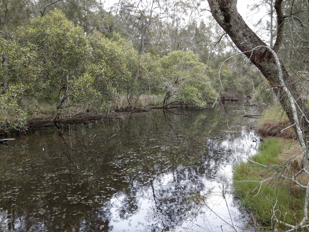 Mambo Wetlands Reserve - Port Stephens Council | park | 190 Port Stephens Dr, Salamander Bay NSW 2317, Australia