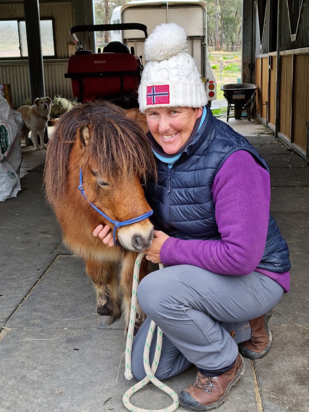 Equine Miracle | 15 Sutherland Dr, North Nowra NSW 2541, Australia | Phone: 0431 387 787