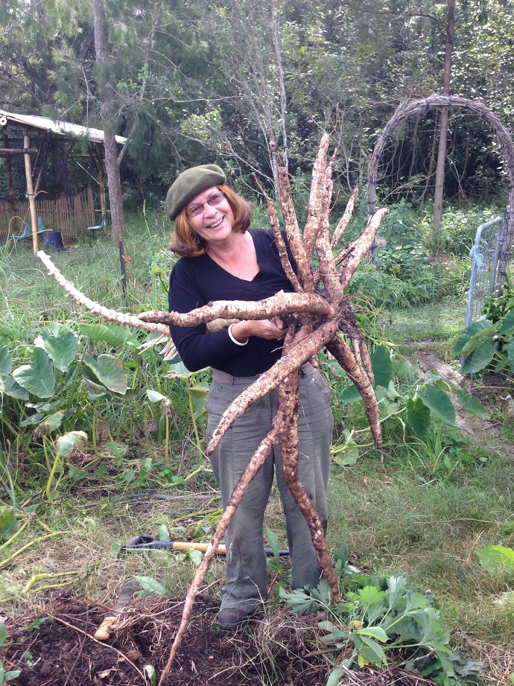 Bamboo Masterclass Workshop at Djanbung Gardens | 74 Cecil St, Nimbin NSW 2480, Australia | Phone: (02) 6689 1755