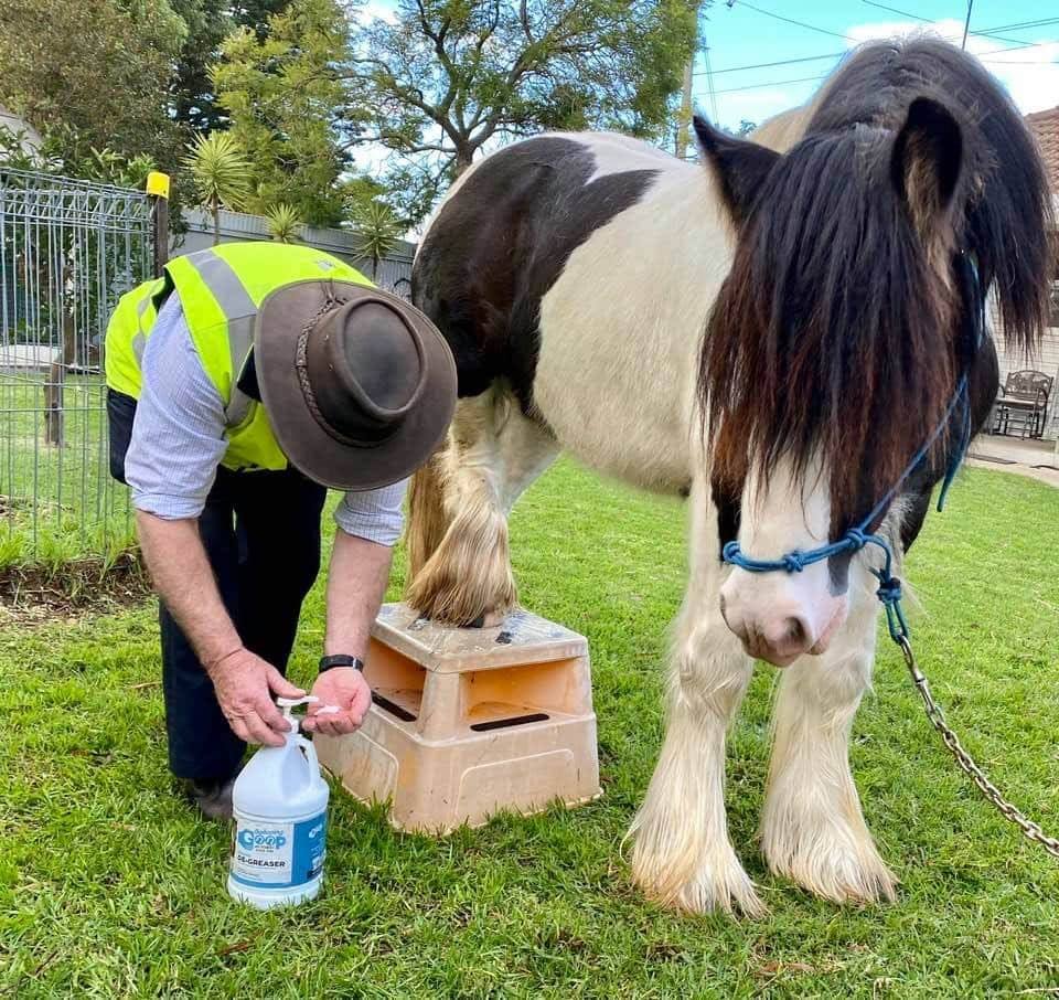 Galloping Goop Equine Products | 14 Jessica Way, Truganina VIC 3029, Australia | Phone: 0416 251 210