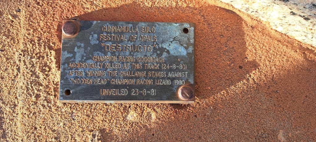 Eulo Lizard Racing Track | 56 Leo St, Eulo QLD 4491, Australia | Phone: 0401 835 124