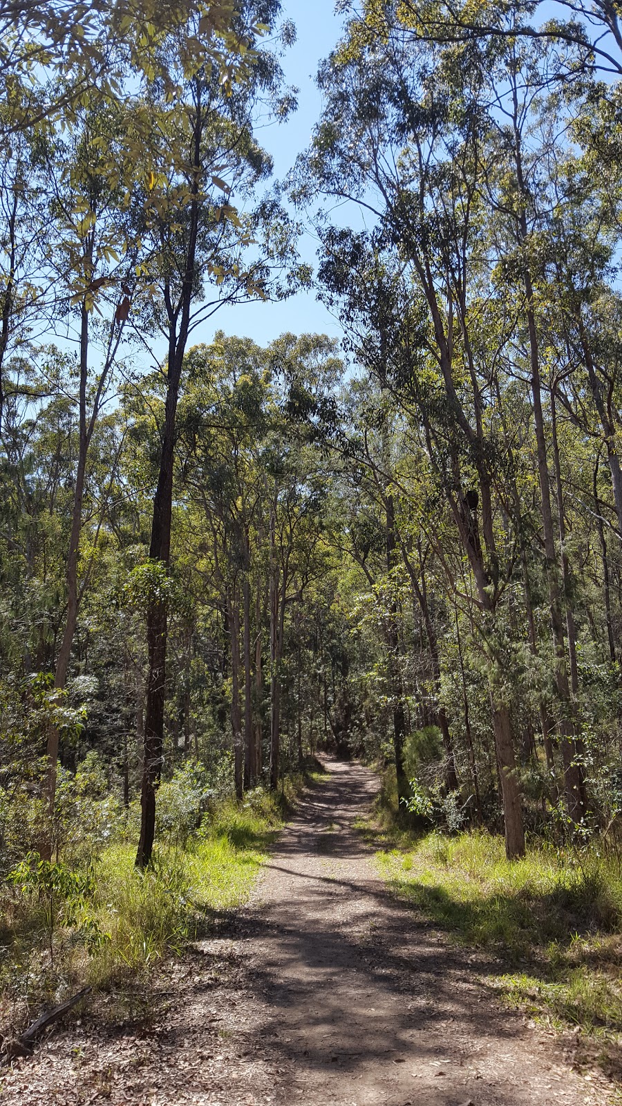 Nambour parkrun | Radar Hill Rd, Bli Bli QLD 4560, Australia