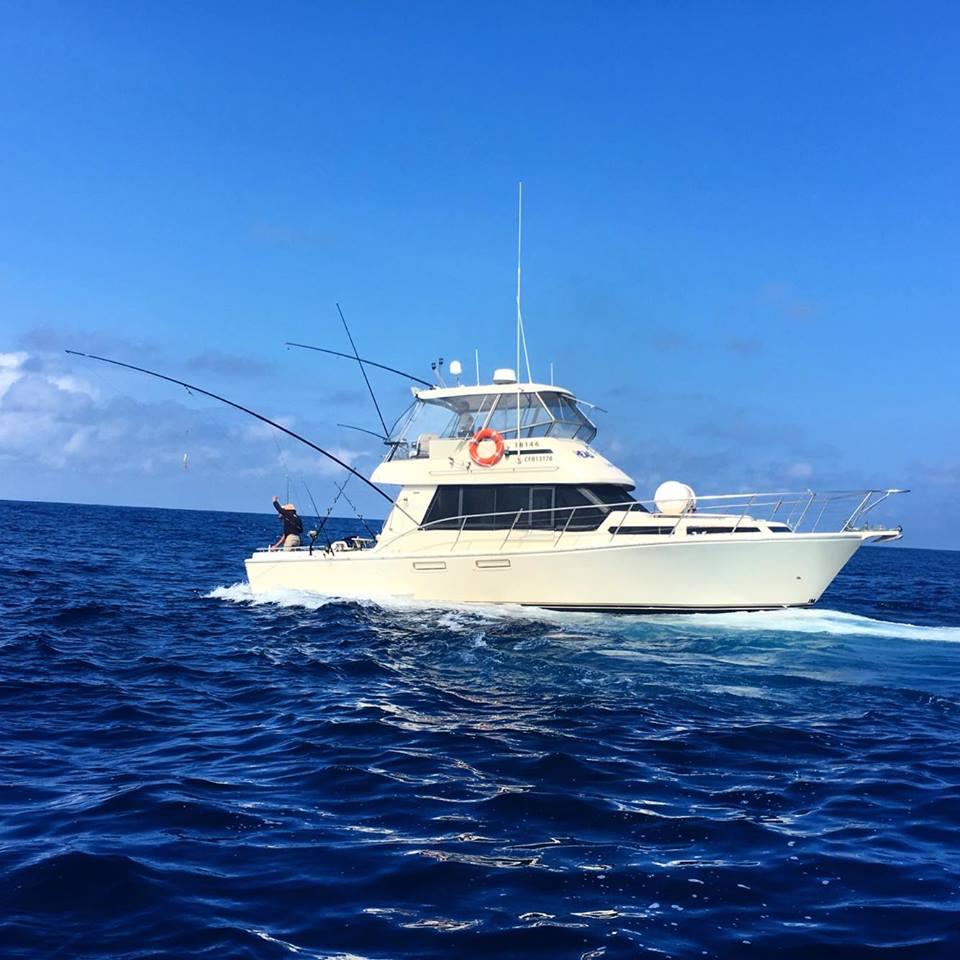 Head Hunter Charters | Bermagui Fishermans Wharf, Lamont St, Bermagui NSW 2546, Australia | Phone: 0428 995 400