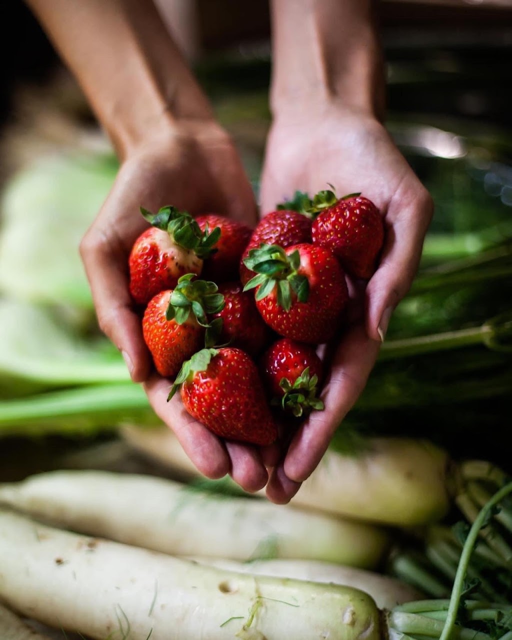 Organic Origins | 1 Anzac Rd, Warrandyte South VIC 3134, Australia | Phone: 0437 008 951