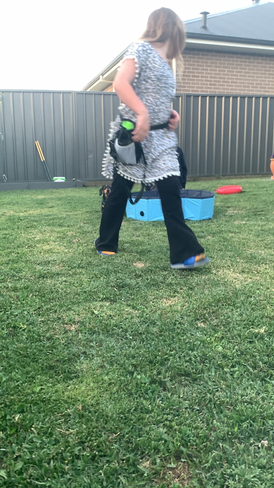 Robin Oliver Pet Dog Training | 27 McCullough St, Cooranbong NSW 2265, Australia | Phone: 0407 253 181