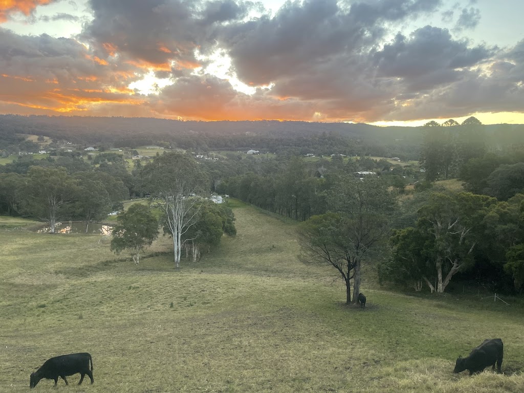 Wildflower Psychology and Assessments | Community Road, 6 Grose Vale Rd, Grose Vale NSW 2753, Australia | Phone: 0434 000 116