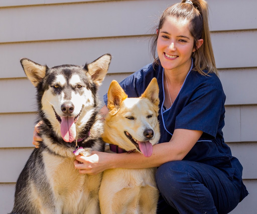 West Toowoomba Veterinary Surgery | veterinary care | 357 West St, Harristown QLD 4350, Australia | 0746362027 OR +61 7 4636 2027