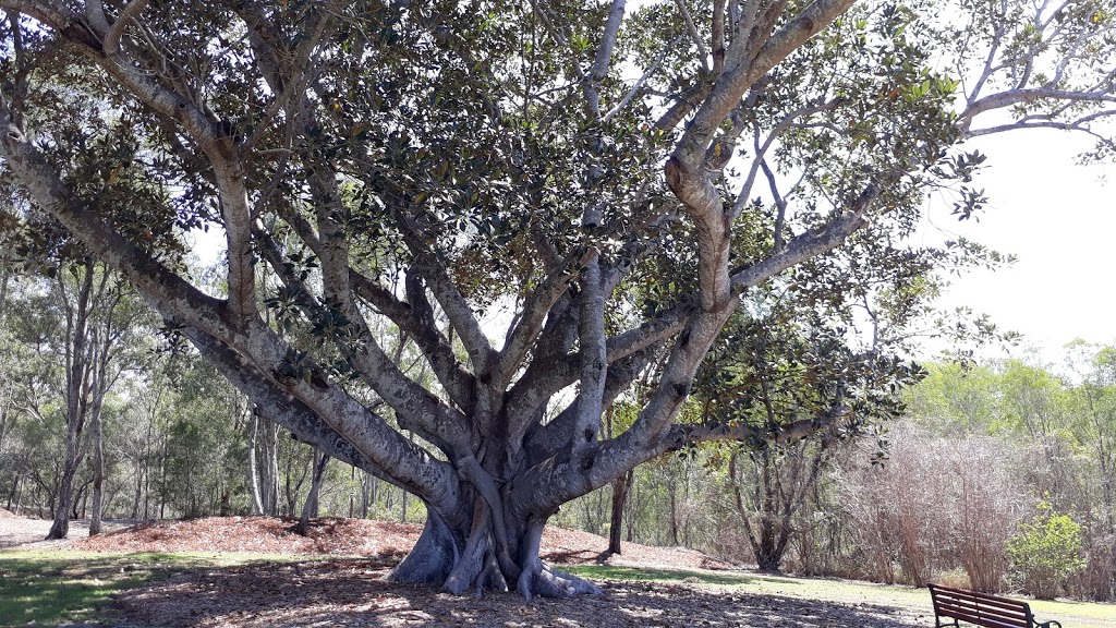 Kholo Botanic Gardens | Muirlea QLD 4306, Australia