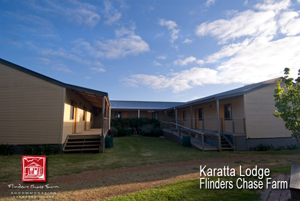 Flinders Chase Farm | 1561 W End Hwy, Karatta SA 5223, Australia | Phone: 0447 021 494