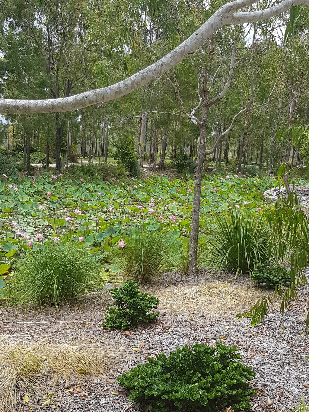 Boyne Tannum Memorial Parklands Crematorium Chapel | funeral home | Pioneer Dr, Boyne Island QLD 4680, Australia