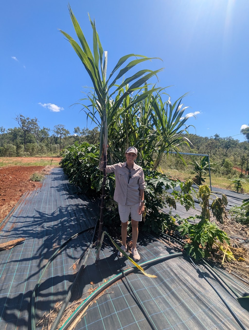 Ellias Garden | Farm Visits & Pick Your Own Produce | 1819 Tarome Rd, Moorang QLD 4340, Australia | Phone: 0491 100 661