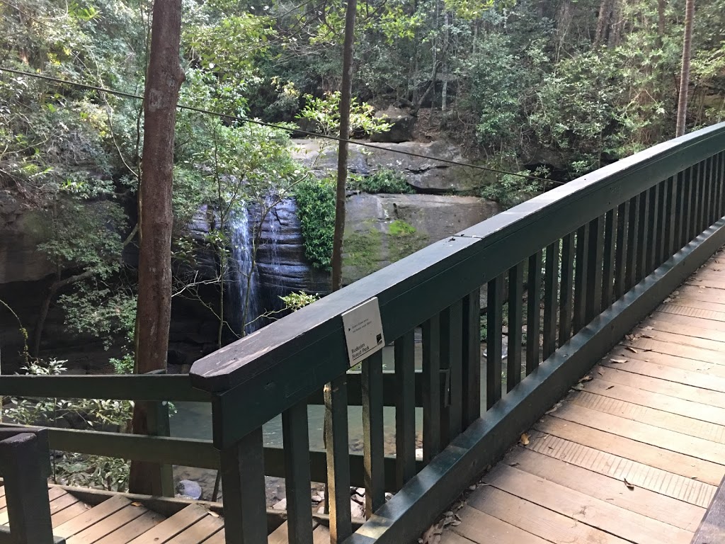 Buderim Waterfall | park | 49 Quorn Cl, Buderim QLD 4556, Australia