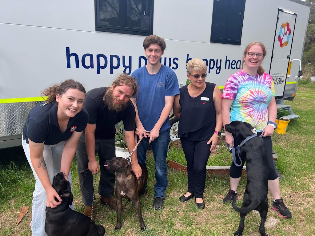 Happy Paws Happy Hearts | Wonnarua Country, Hunter Valley Animal Facility and Rehoming Centre, 1 Neath Rd, Neath NSW 2326, Australia | Phone: 1300 077 984