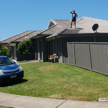 trim external house cleaners |  | 45 Springfield Dr, Burpengary QLD 4505, Australia | 0418791441 OR +61 418 791 441