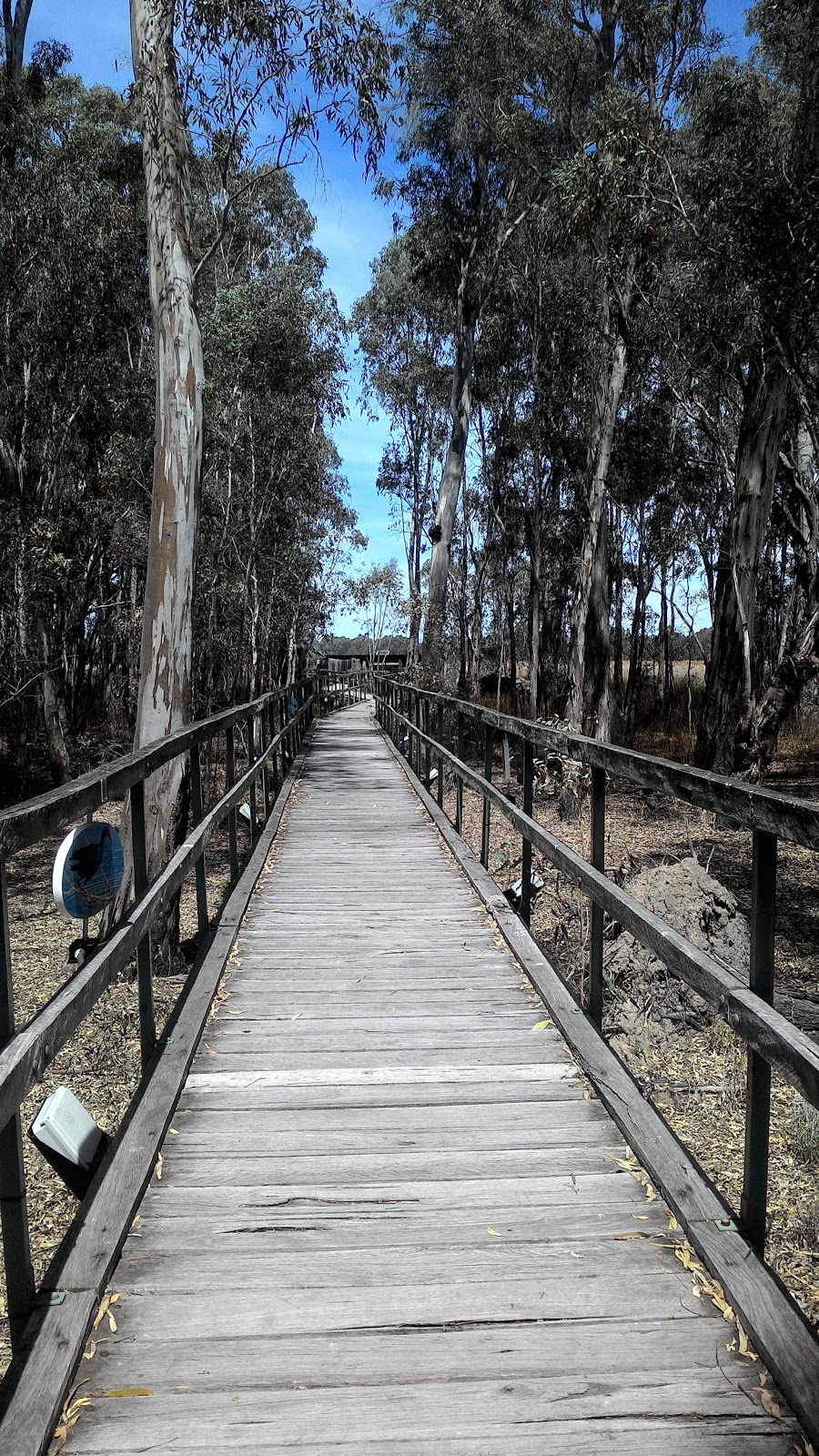 Reed Beds Bird Hide, Murray Valley National Park | Mathoura NSW 2710, Australia