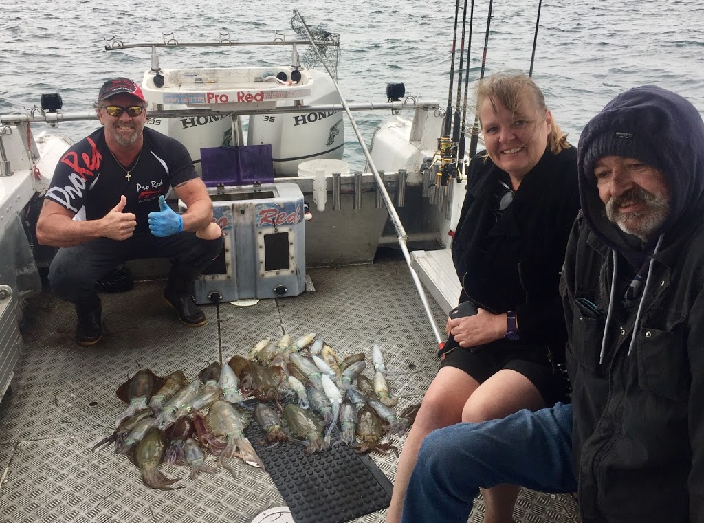 Pro Red Fishing Charters Melbourne | 1 Schnapper Point Dr, Mornington VIC 3931, Australia | Phone: 0421 442 775