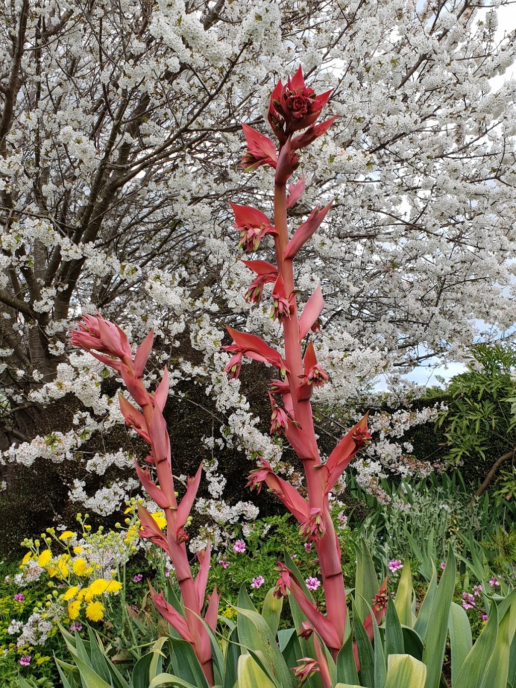 The Garden At Broughton Hall | Jindivick VIC 3818, Australia