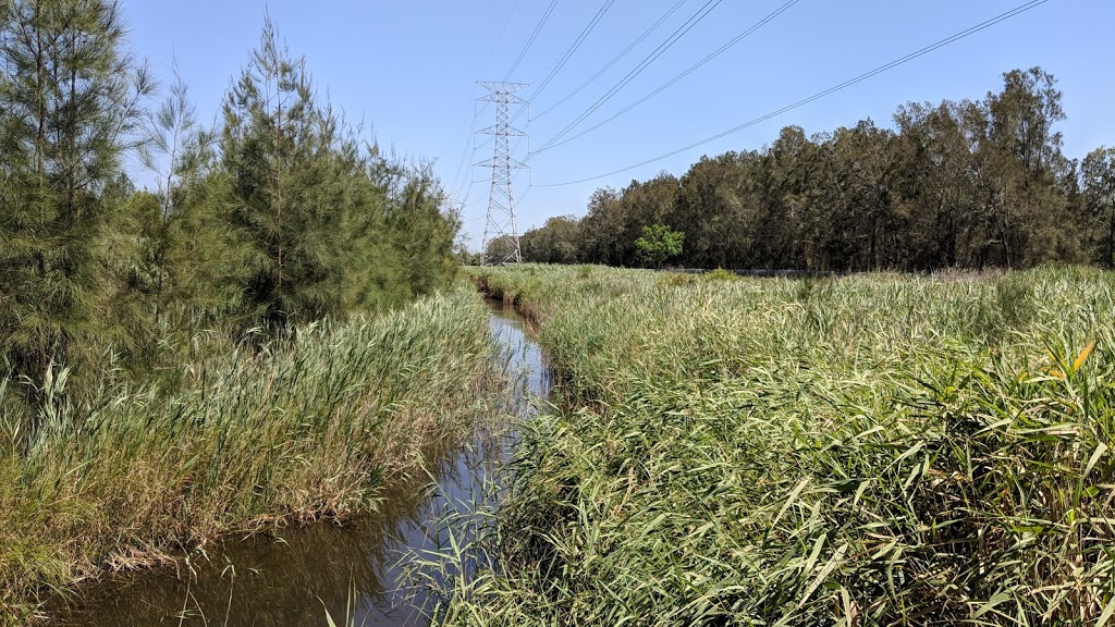 Shortland Wetlands Area | park | Shortland NSW 2307, Australia