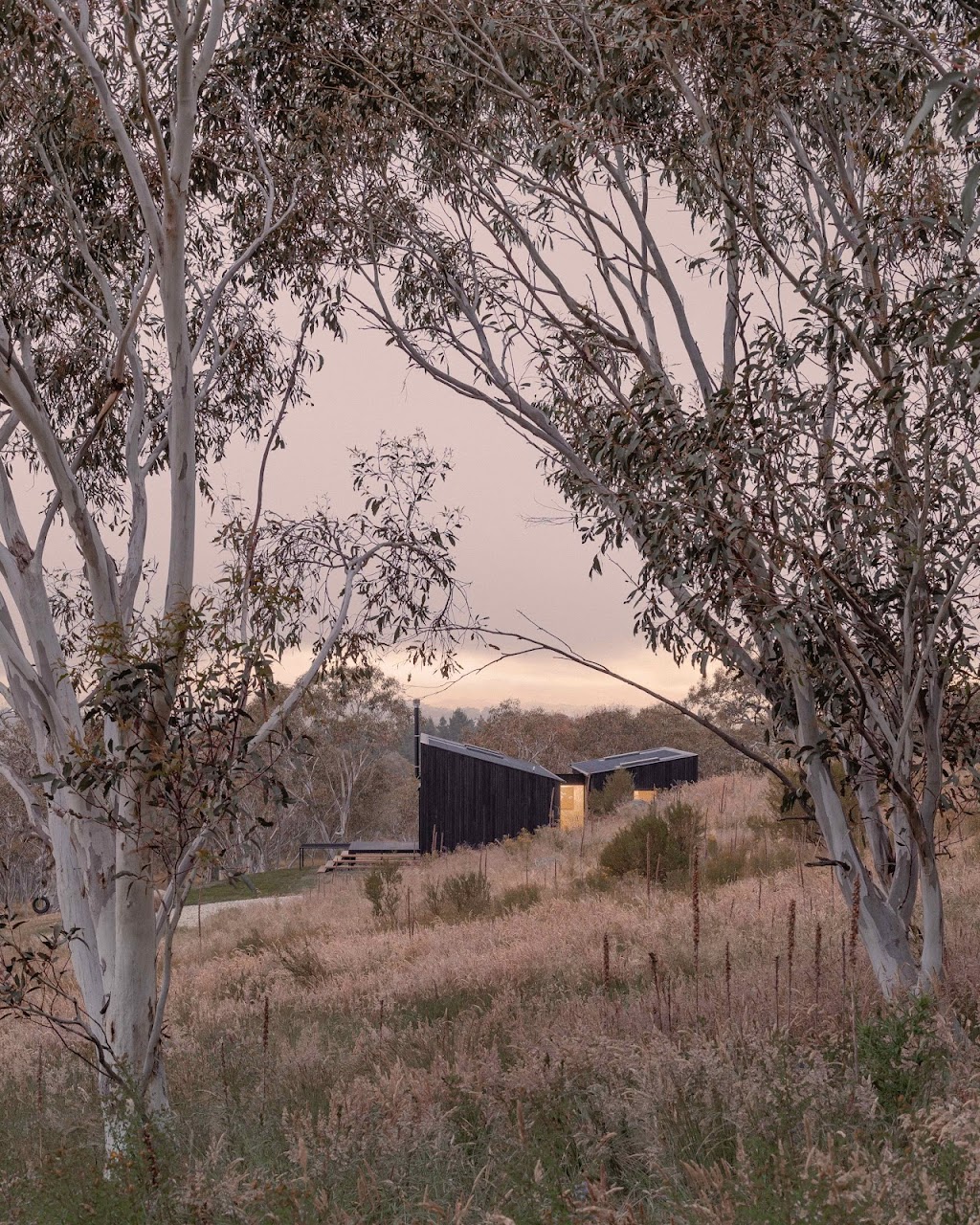 Common Kosci | 92 Bungarra Ln, Jindabyne NSW 2627, Australia | Phone: 0424 451 102