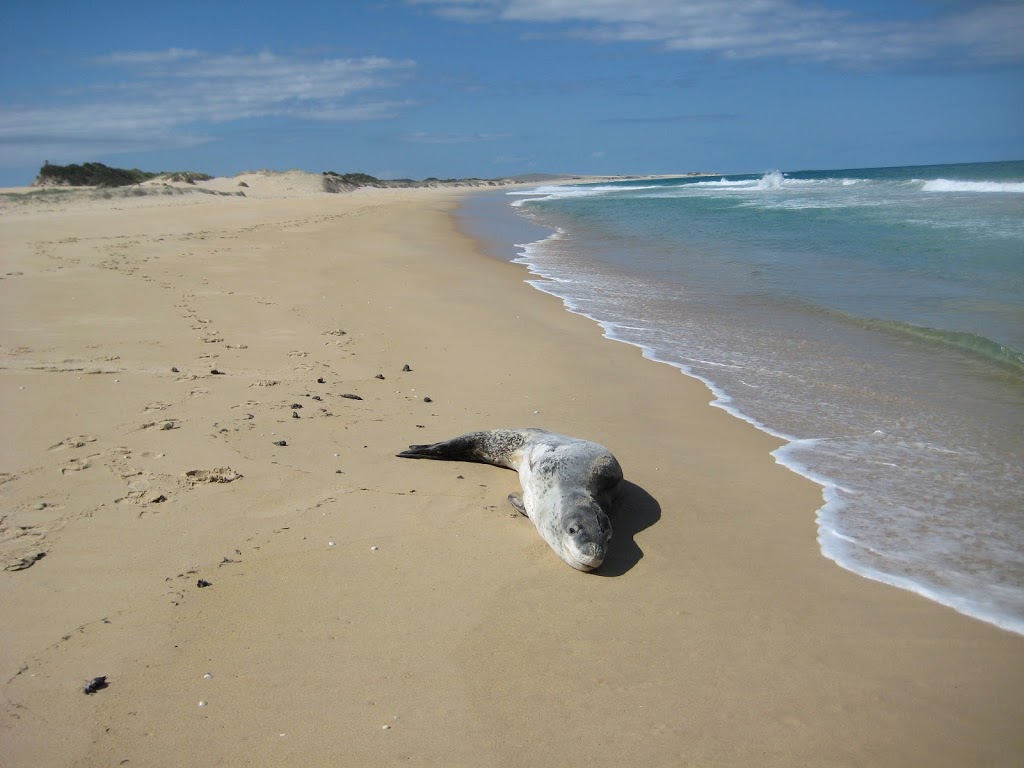 Cape Howe Marine National Park | Victoria, Australia | Phone: (03) 8427 2002