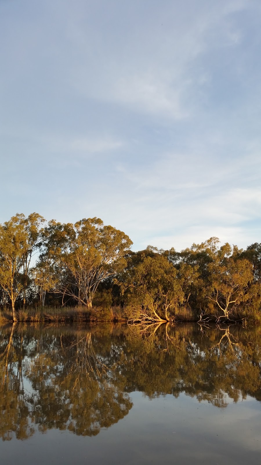 Absolute Riverfront at Willow Bend Caravan Park | rv park | LOT 2 Adams St, Wentworth NSW 2648, Australia