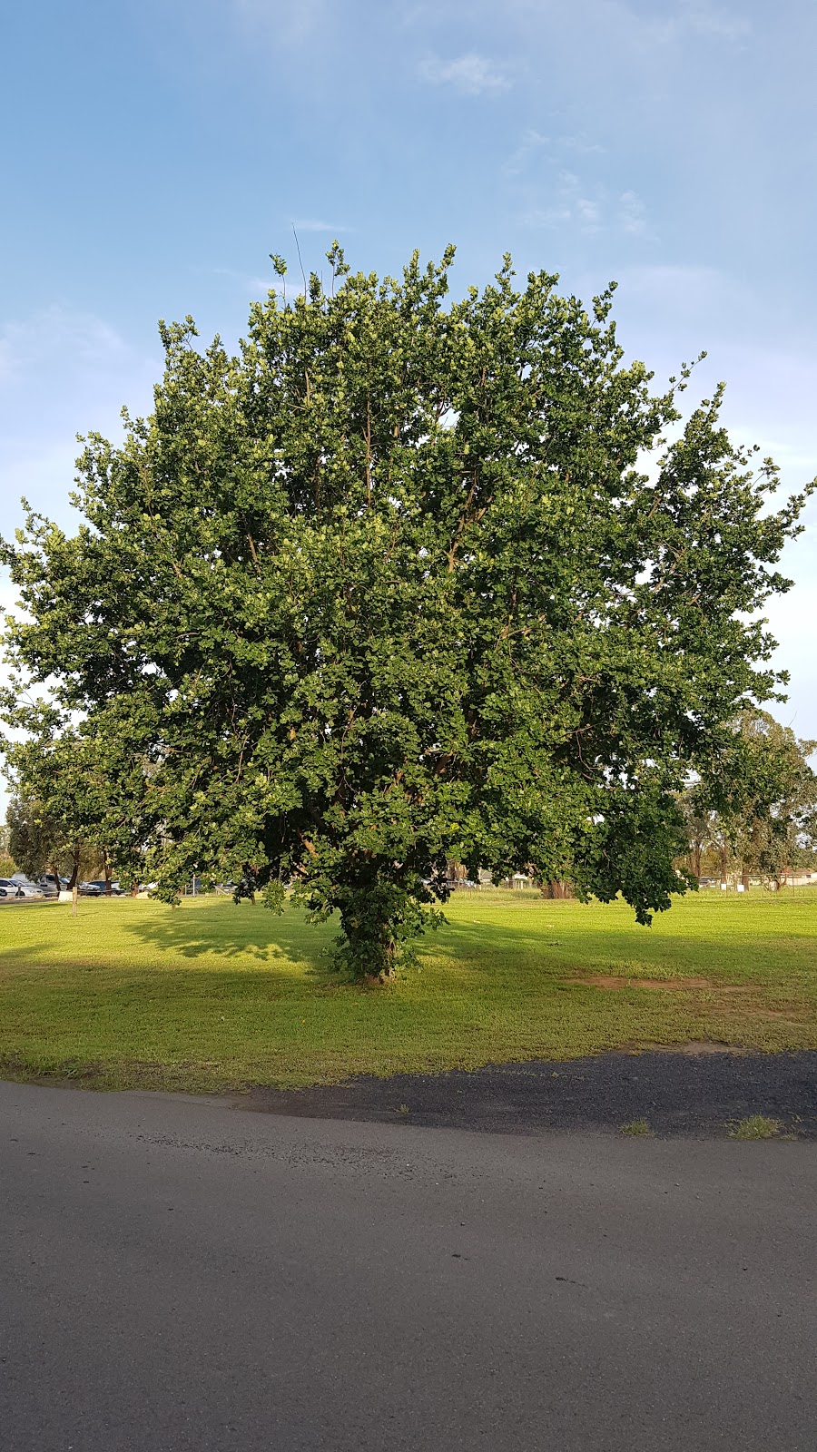 CatholicCare Mamre House and Farm | 181 Mamre Rd, Orchard Hills NSW 2748, Australia | Phone: (02) 8843 2500