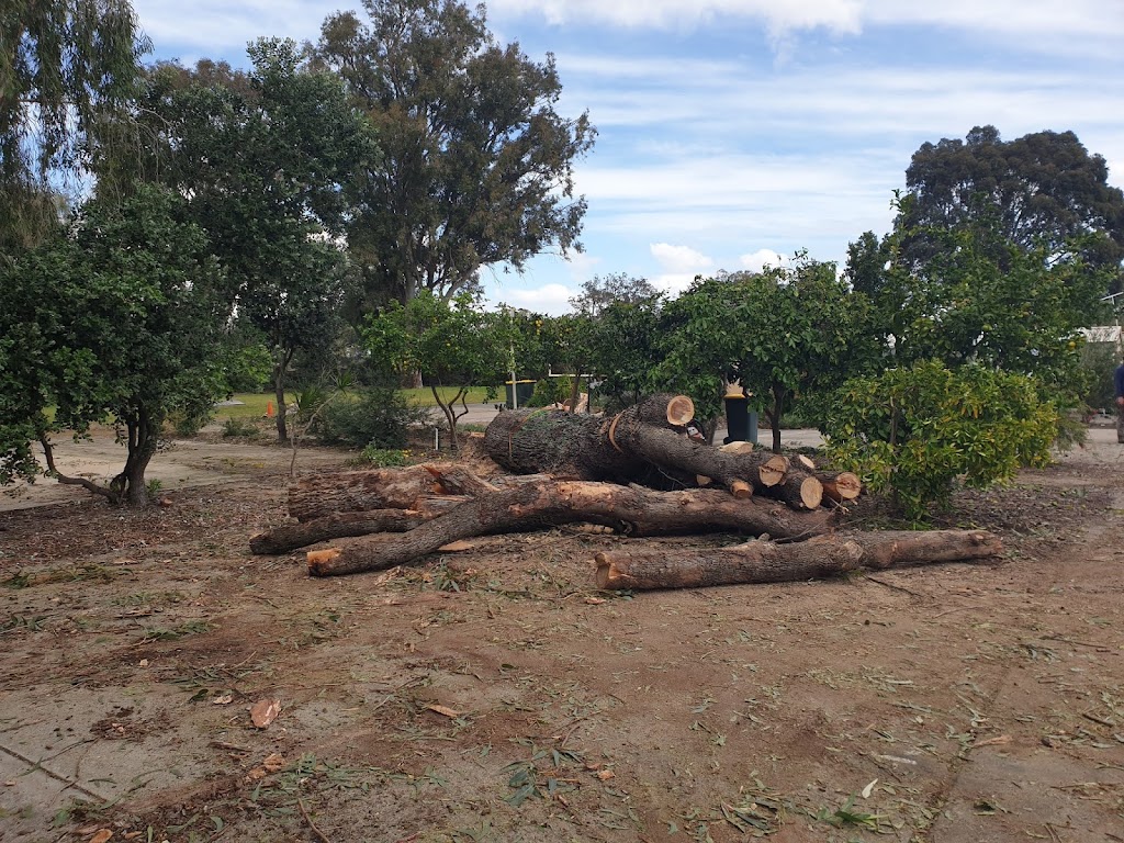 Axe Men Tree Services PTY LTD | 12 Amherst Rd, Swan View WA 6056, Australia | Phone: 0419 626 145