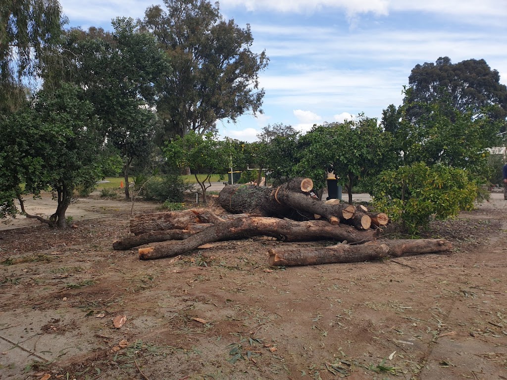 Axe Men Tree Services PTY LTD |  | 12 Amherst Rd, Swan View WA 6056, Australia | 0419626145 OR +61 419 626 145