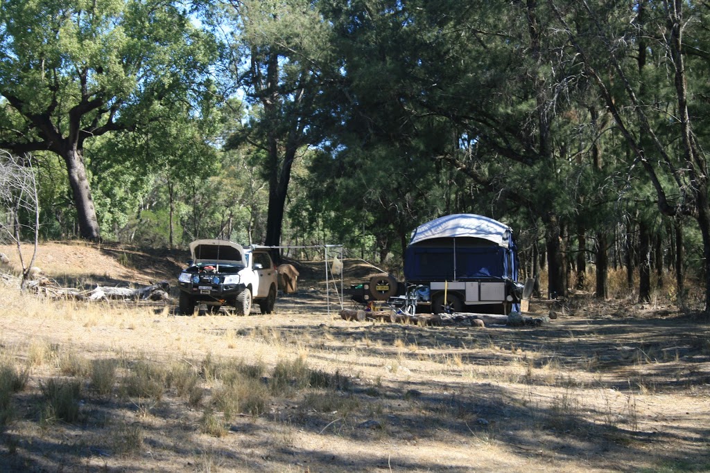 Gunneemooroo campground | campground | Gunneemooroo Trail, Tonderburine NSW 2828, Australia | 0268254364 OR +61 2 6825 4364