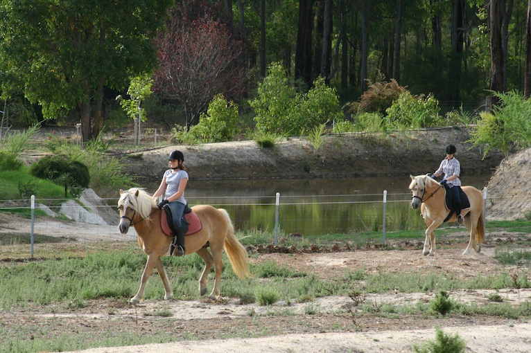 Gumleaf Cottage Farmstay | 1475 Brooking Rd, Hovea WA 6071, Australia | Phone: 0407 429 041