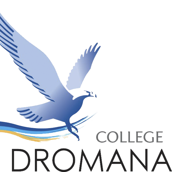 Dromana College | university | 110 Harrisons Rd, Dromana VIC 3936, Australia | 0359872805 OR +61 3 5987 2805