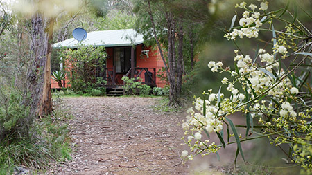 Uhuru Chalets | lodging | 189 Railway Rd, Torbay WA 6330, Australia | 0898451020 OR +61 8 9845 1020