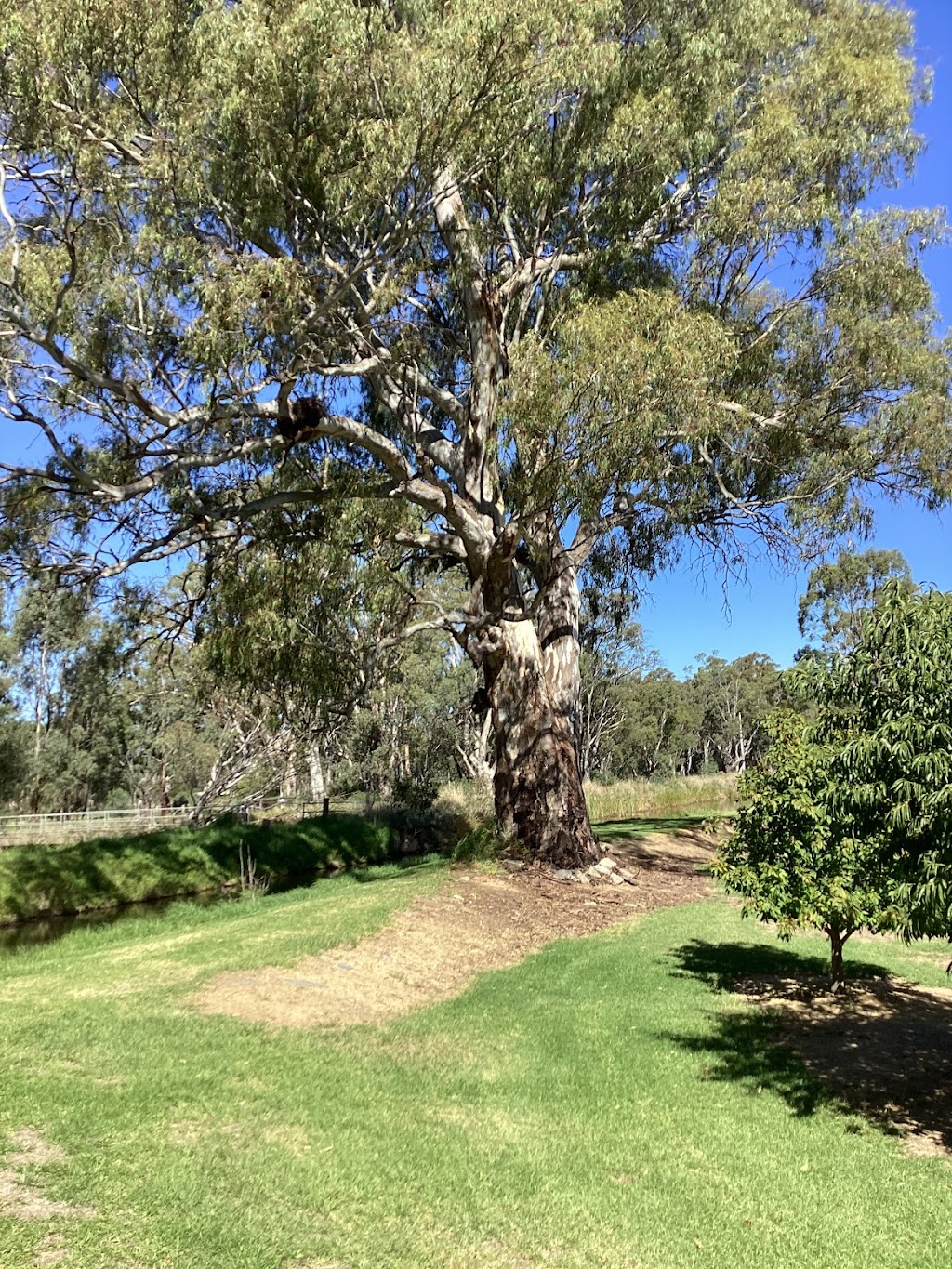 Linda Bray Celebrant | Kerang-Koondrook Rd, Koondrook VIC 3580, Australia | Phone: 0408 174 732